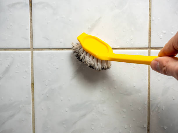Best Mold Damage Repair  in Beebe, AR